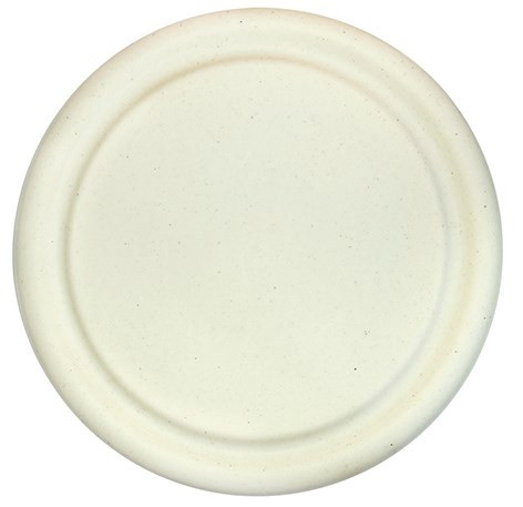 Frisbee (Disc-Flyer)  Ocean