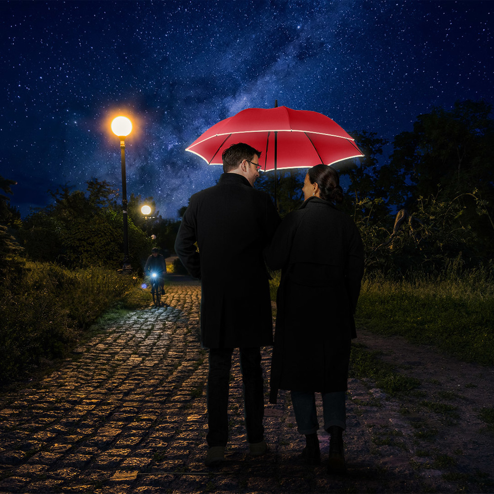 4375 AC-Midsize-Stockschirm FARE® Windmatic®