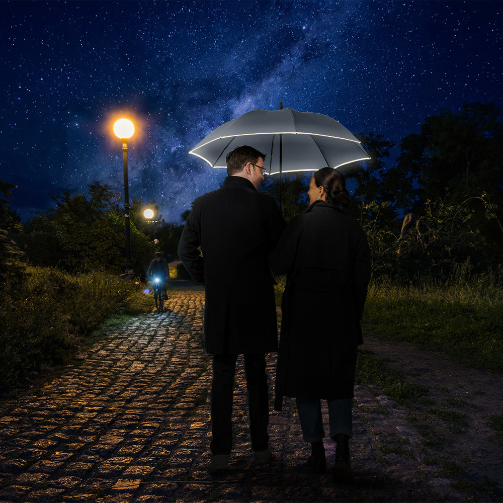 4375 AC-Midsize-Stockschirm FARE® Windmatic®