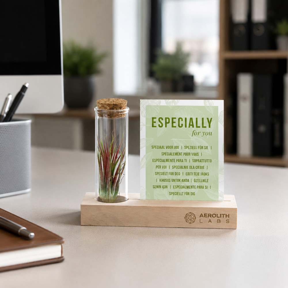 Airplant - Cardholder & tube