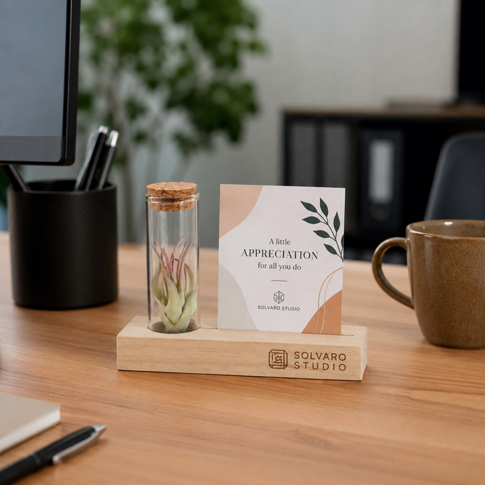 Airplant - Cardholder & tube