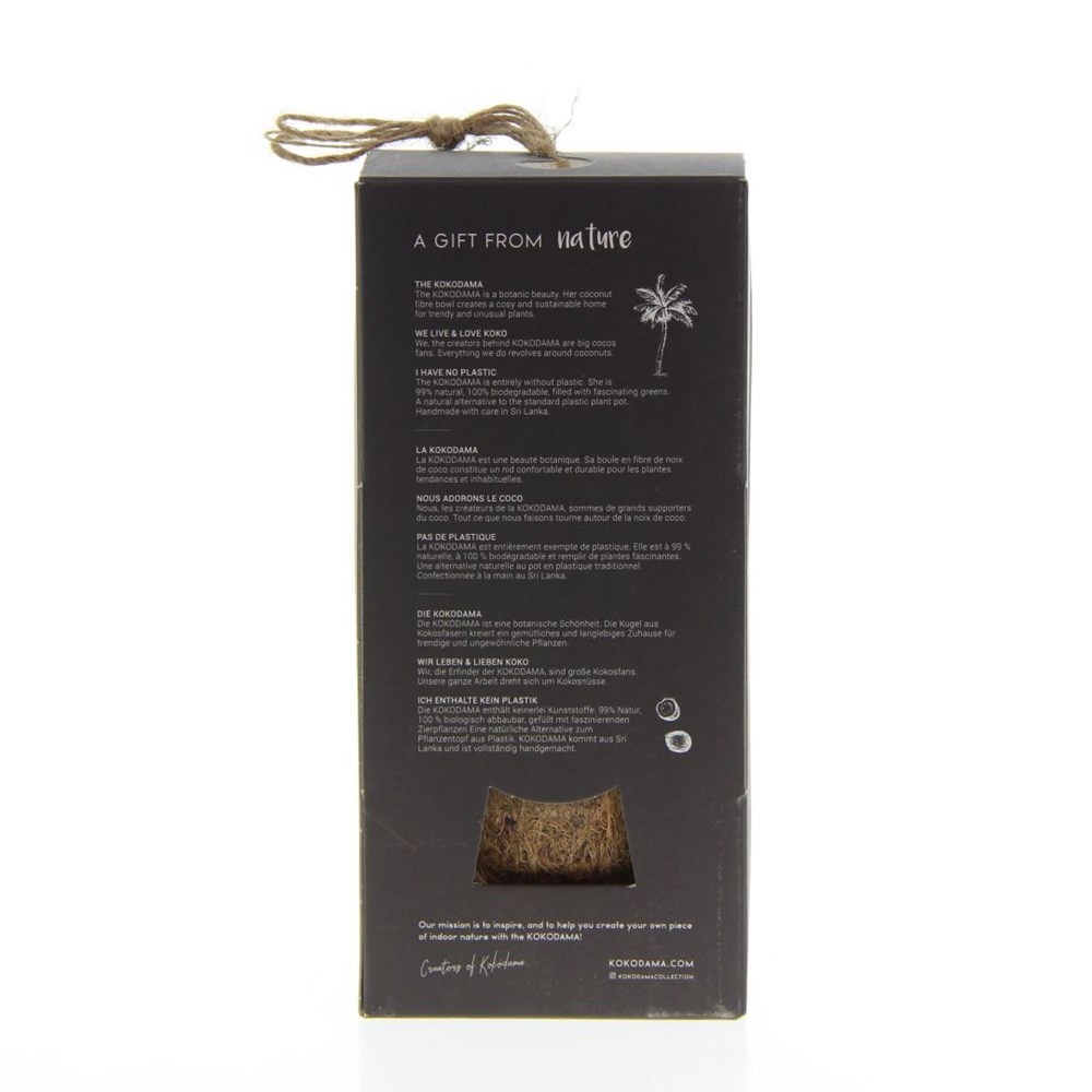 Kokodama® - Easy care mix (S), Ohne Verpackung