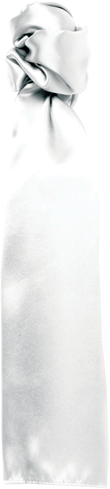 PB30 - colours' Plain Business Scarf - White
