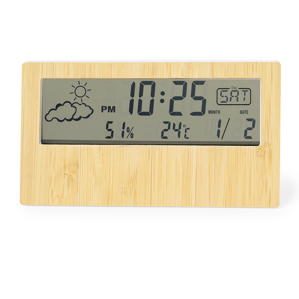 Wetterstation Roamer